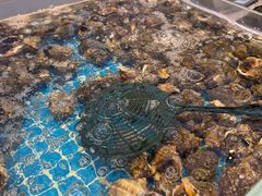 -集品鲜湾·蒸汽海鲜自助料理(青岛银座和谐广场店)