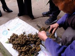 -金堂县云顶石城风景区