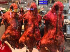 -日日香卤鹅饭店·澄海狮头鹅(澄海店)