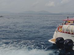 -三亚蜈支洲岛旅游区