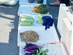 -东天目山风景区