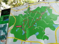 -火炉山森林公园