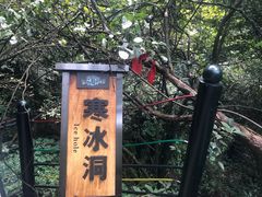 -梦幻奥陶纪景区