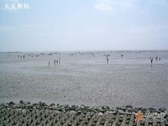 -碧海金沙