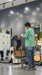 -藤野造型烫染·接发