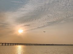 -宝安西湾红树林湿地公园