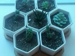 -ID.PHOTO照相馆(嘉里企业中心店)