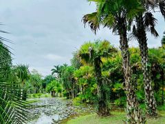 -中国科学院西双版纳热带植物园