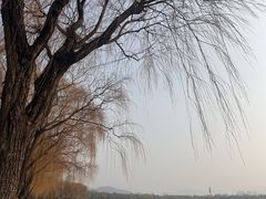 -济南国际园博园