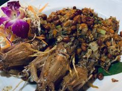 -Onion restaurant