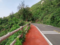 -海南铜鼓岭景区