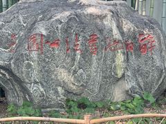 -上海醉白池公园