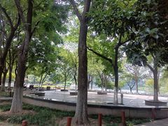 -后襄河公园
