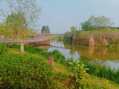 -白鹭湾湿地公园