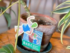 -fishtank鱼缸咖啡(三山街店)