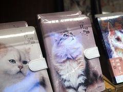 -九木杂物社(新奥购物中心店)