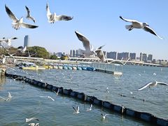 -蠡湖大桥公园