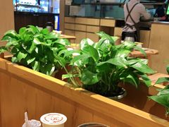 大堂-木屋烧烤(龙华店)