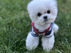 -一尺花园(首钢店)