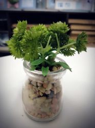 -童恩贝贝专业儿童摄影(浐灞新城4期店)