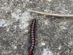 -章水镇文体中心