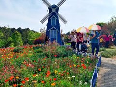 -铁山坪森林公园