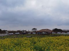 -MUSEO COFFEE咖啡博物馆