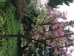 上海瑞金洲际酒店-上海瑞金洲际酒店