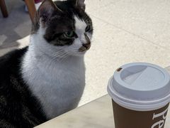 -Peet's Coffee皮爷咖啡(豫园店)