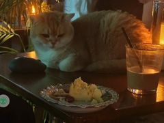 -咖法森林·咖啡  酒吧(天河店)