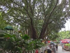 -黄埔古港