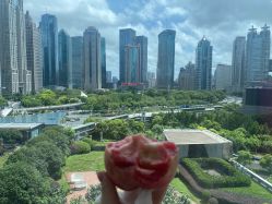 -巍阁高端月子会所