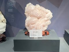 -湖南省地质博物馆