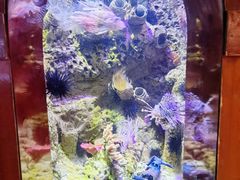 -太平洋海底世界