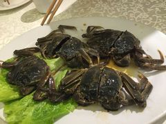 宏玲餐厅-宏玲餐厅(四川南路店)