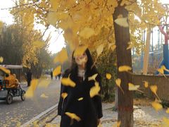 -石家庄市植物园