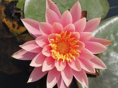 -华南国家植物园-售票处