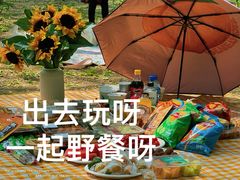 -海淀公园