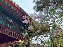 -承德避暑山庄景区