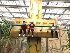 -南宫五洲植物乐园