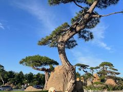 -罗红摄影艺术馆