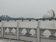 -野狸岛