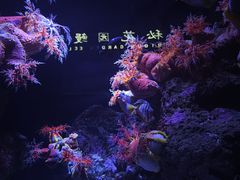 -成都浩海立方海洋公园