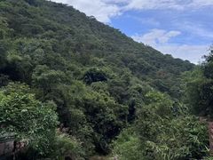 -南海湾森林生态园