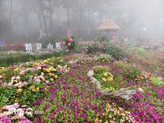 -沂蒙山旅游区云蒙景区(蒙山国家森林公园)