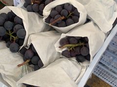 -西郊国际农产品交易中心