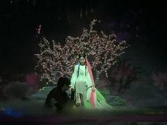 -合肥大剧院