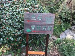 -杭州西湖风景名胜区-三生石