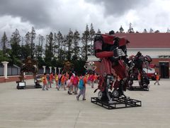 -上海长兴岛郊野公园