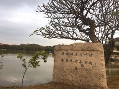 -海上田园
